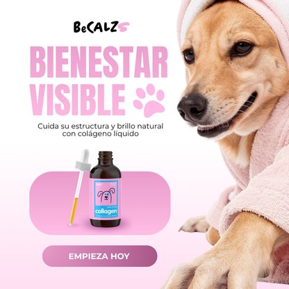 Colágeno para Mascotas - TRANSFORMA LA VIDA DE TU MASCOTA 😍50% DE DESCUENTO😍